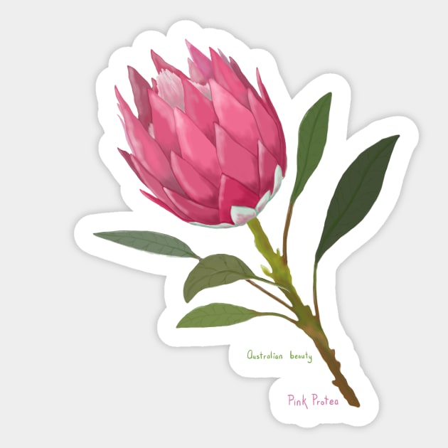 Australian Pink Protea Sticker by SoozieWray